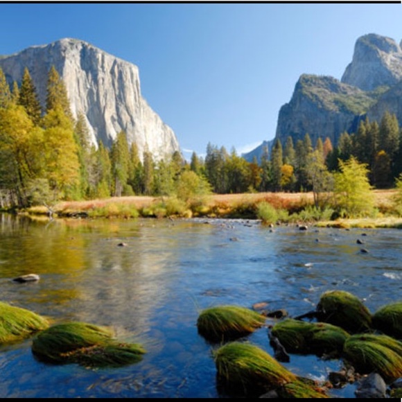 Meet your Posher, Todd! - Picture 2 of 8